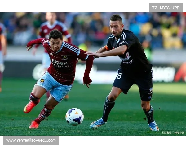 墨尔本凤凰队全力冲刺力争登顶联赛榜首